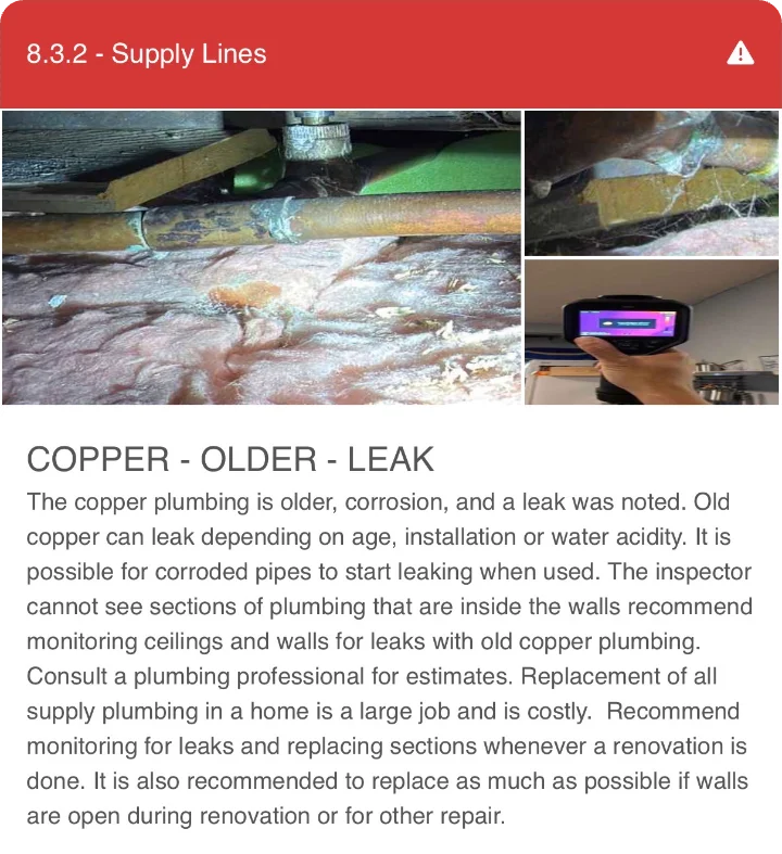 Report finding: older copper supply line with corrosion and a leak